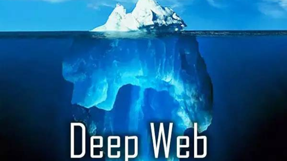 Evolution Day: Deep Web